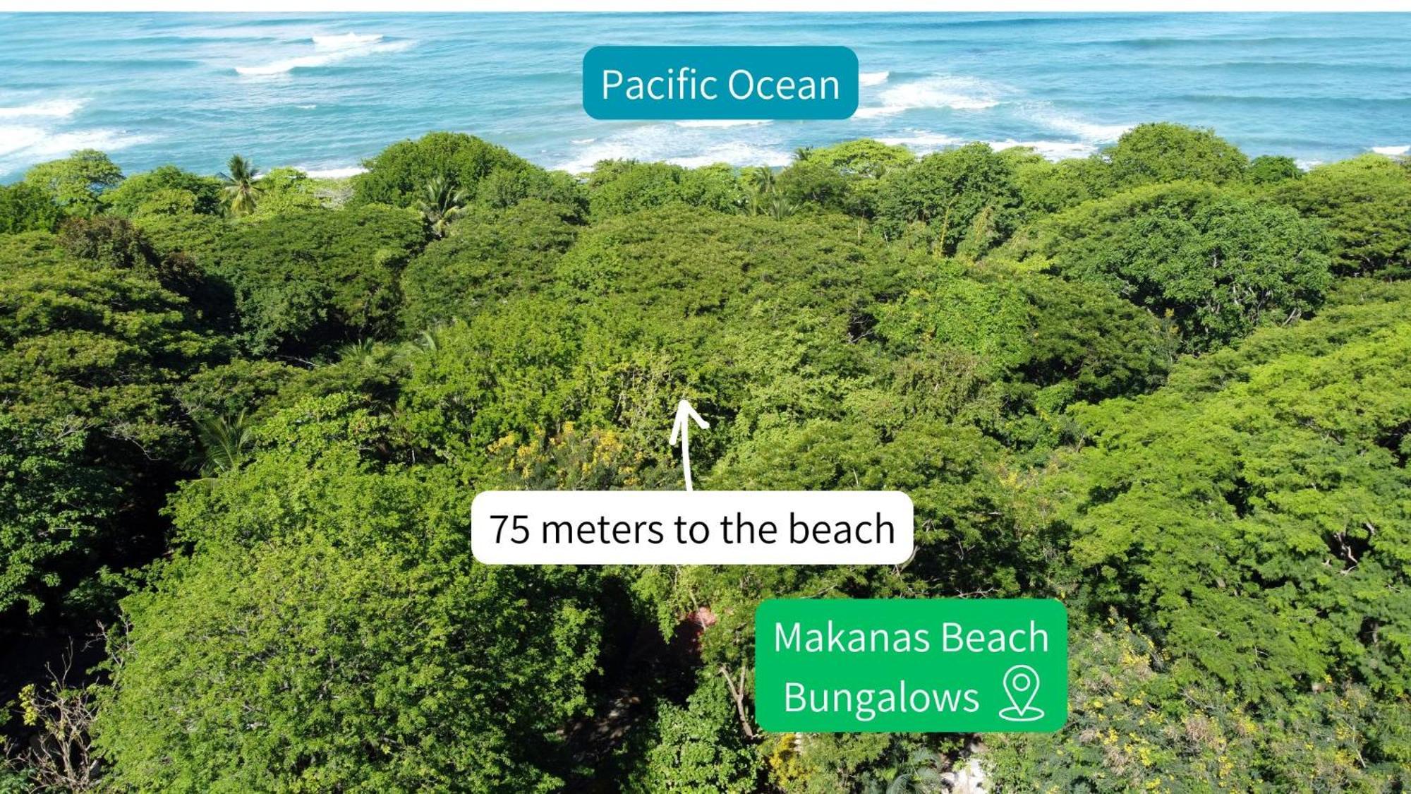 Makanas Beach Bungalows Playa Santa Teresa  Екстер'єр фото