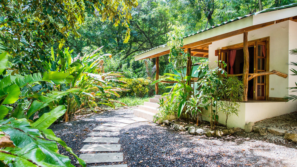 Makanas Beach Bungalows Playa Santa Teresa  Екстер'єр фото